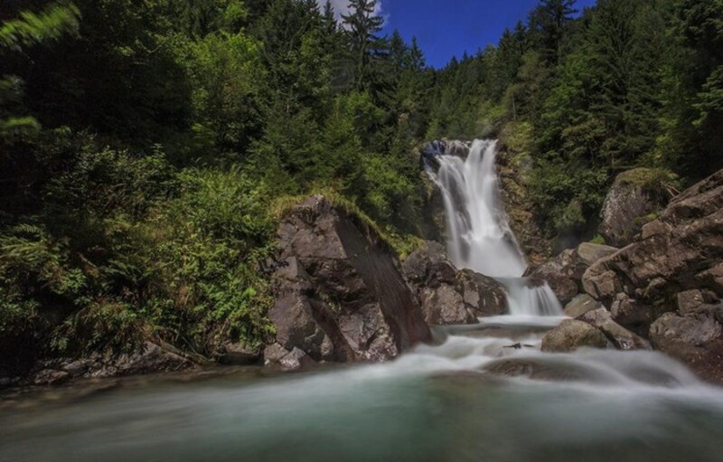 BioBlitz nel Parco delle Orobie Bergamasche